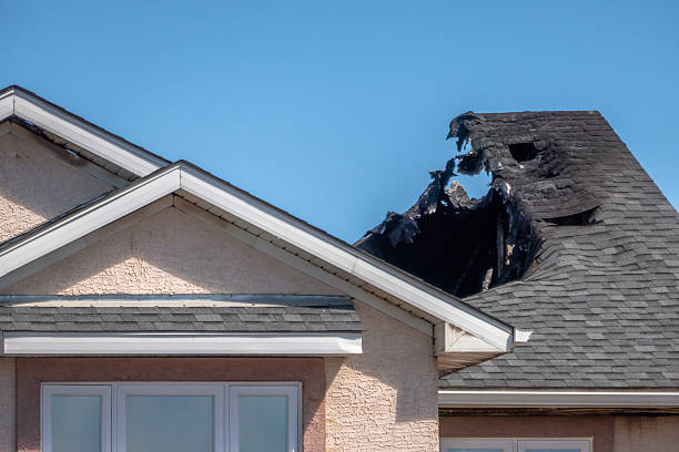 Top rated local Fire Damage Removal specialists in Duvall, WA